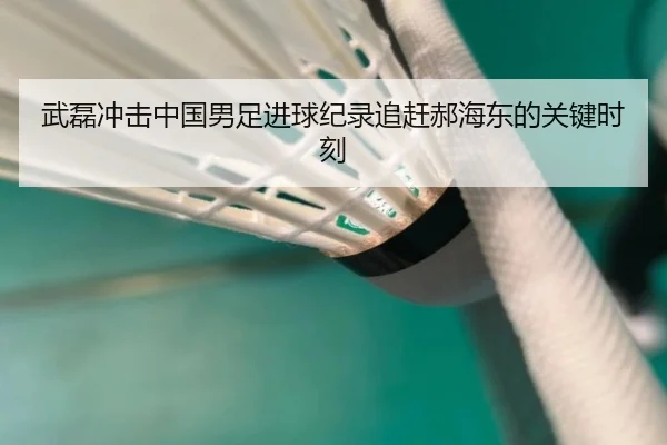 武磊冲击中国男足进球纪录追赶郝海东的关键时刻